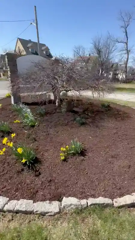 Finished mulch bed from an R-Flores residential job