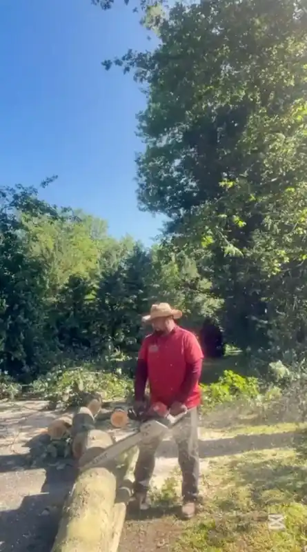 Juan cutting a fallen tree trunk into sections during an R-Flores cleanup