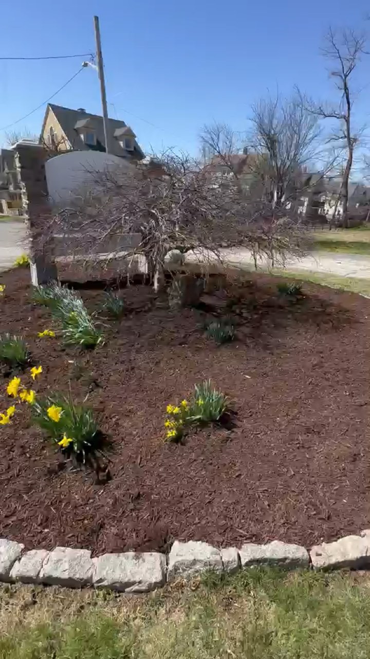 Finished mulch bed from an R-Flores residential landscaping job