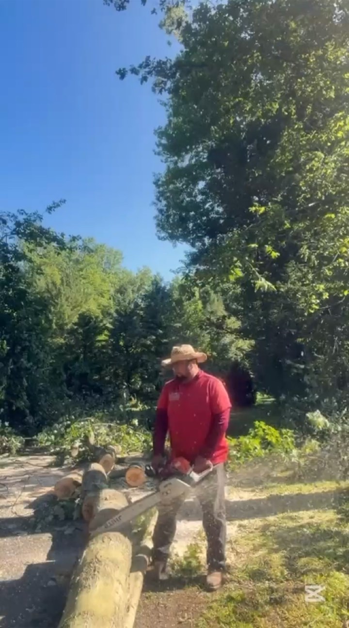 R-Flores cutting a fallen tree during yard cleanup
